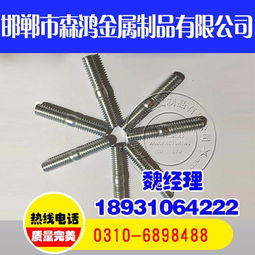 熱鍍鋅螺栓,內(nèi)蒙熱鍍鋅螺栓,森鴻金屬制品美觀防銹