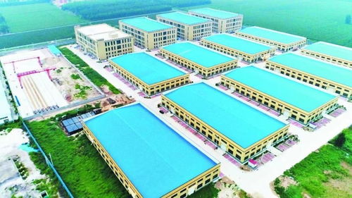 寧津 市縣聯(lián)動,激活國資國企改革新動能